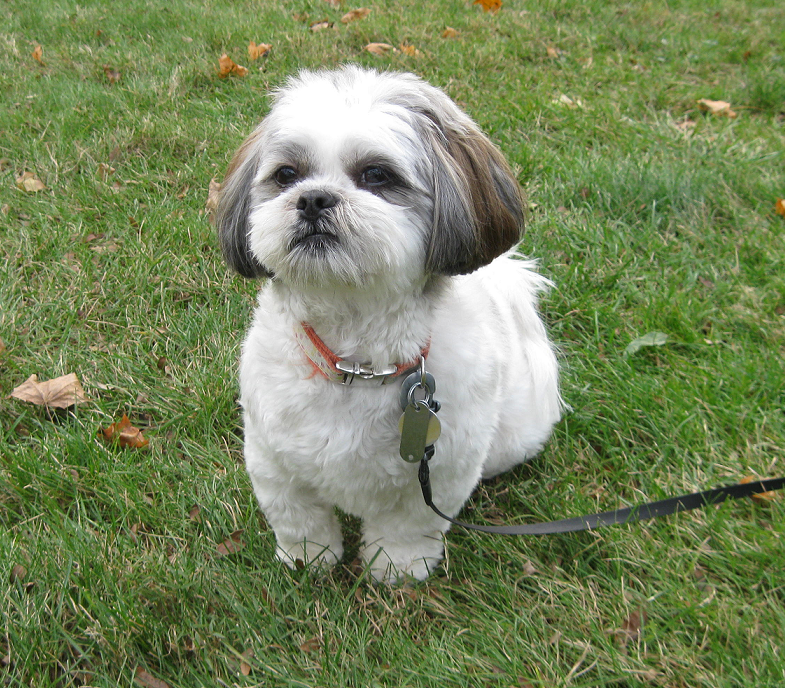 Bailey