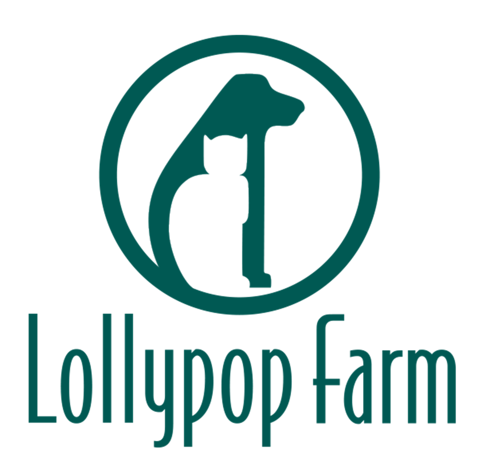 lolly logo white