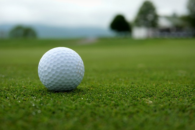 golf-g7e3a4f093_640