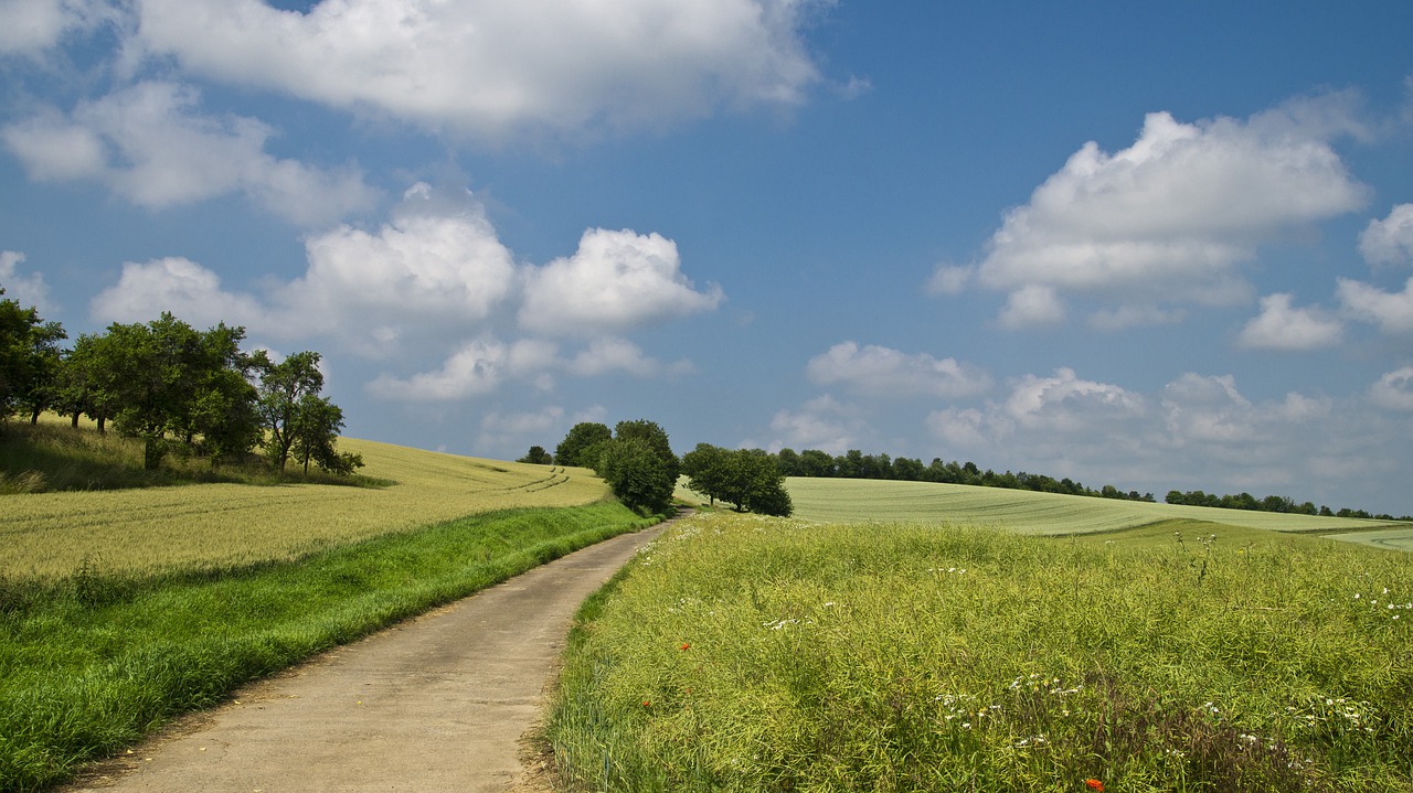 field-ga234e735f_1280