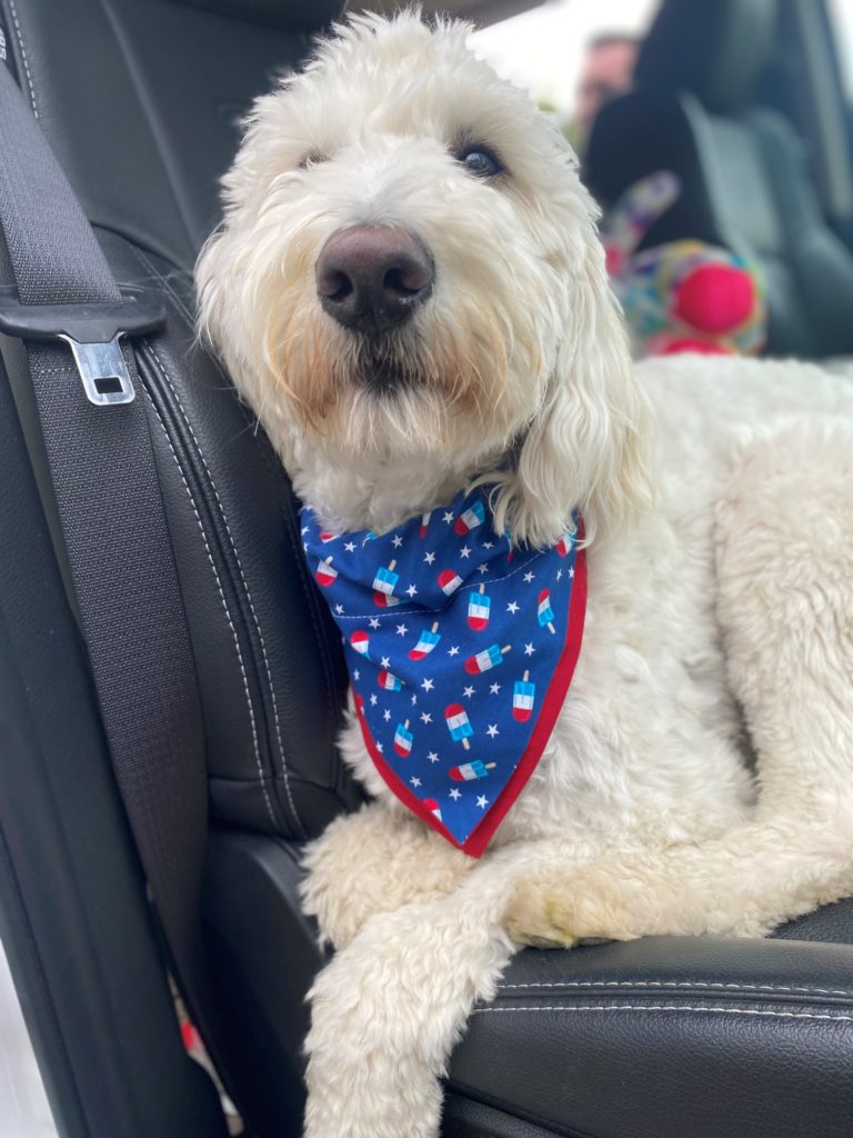 poppy car